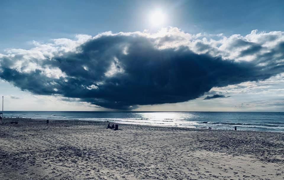 La Cabane D'O Oostende Dış mekan fotoğraf
